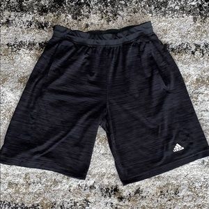 Black Adidas Climalite Shorts